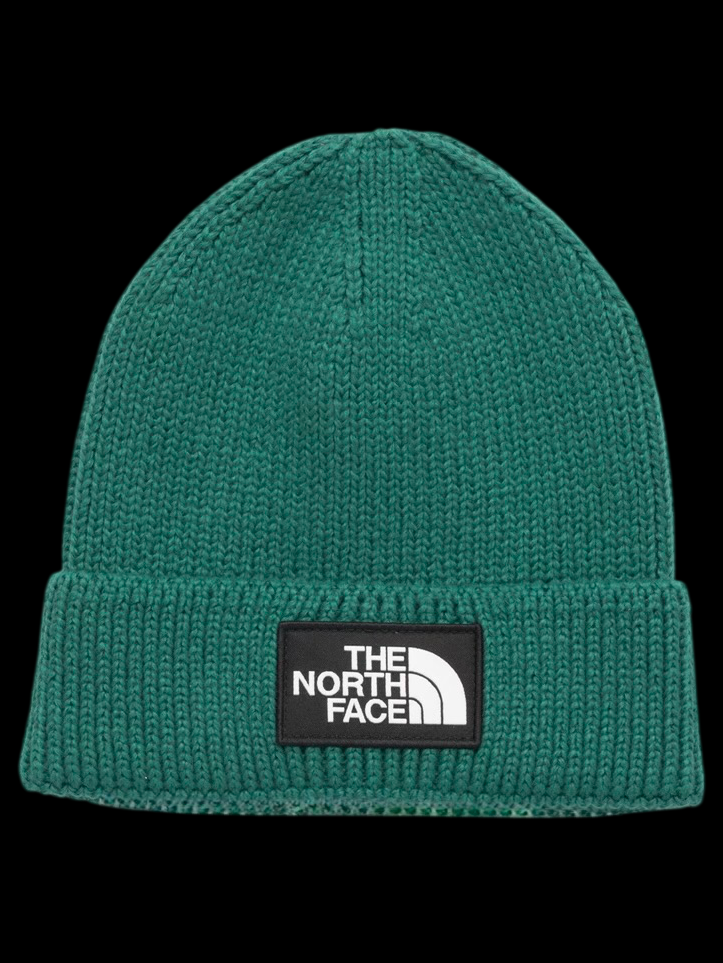 The North Face Wintermütze - Grün