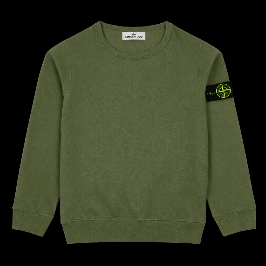 Stone Island Pullover - Grün Luxus Line